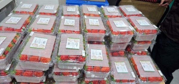 KakaoTalk_20260602_200652858_01 (1).jpg