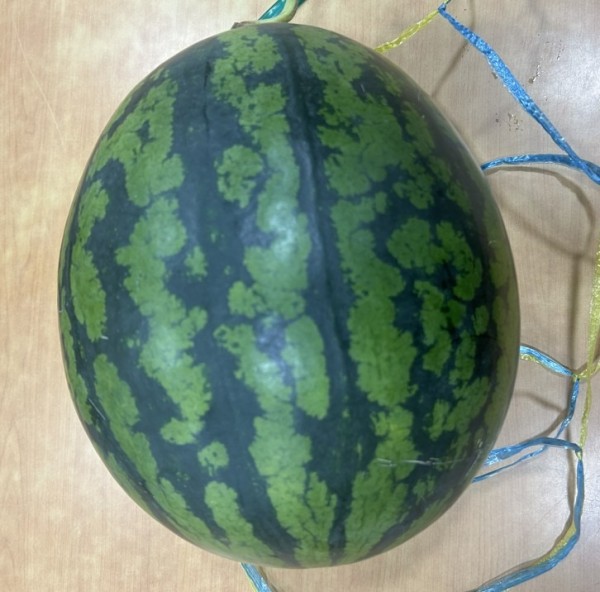 수박 후원.jpg