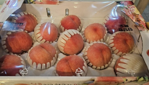 복숭아.jpg