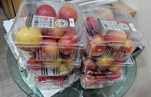 자두1.jpg