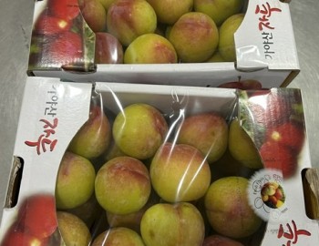 자두 2.jpg